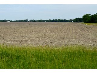 Property photo 36 - FARM & LAND AUCTION - 125+/- ACRES OFFERED IN 5 TRACTS IN EAST ALLEN COUNTY, INDIANA